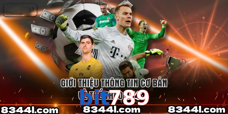 Giới Thiệu Thông Tin Cơ Bản Về Chuyên Mục Thể Thao bit789